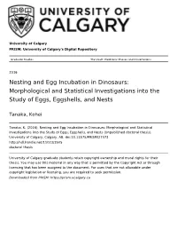 Nesting and Egg Incubation in Dinosaurs: Morphological and Statistical Investigations Into the Study of Eggs, Eggshells, and Nests