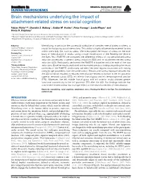 Brain Mechanisms Underlying the Impact of Attachment-Related Stress on Social Cognition