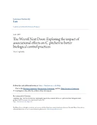Exploring the Impact of Associational Effects on C. Pitcheri to Better Biological Control Practices Tina Czaplinska