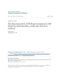 The Dispersal Pattern of Thekopsora Minima in Wild Blueberry Determined by a Molecular Detection Method Nghi Nguyen Nghi.Nguyen@Maine.Edu