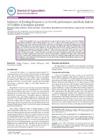 Influence of Feeding Frequency on Growth Performance and Body Indices of Goldfish (Carrassius Auratus)