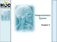 Integumentary System