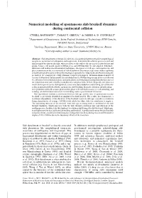 Numerical Modelling of Spontaneous Slab Breakoff Dynamics During Continental Collision