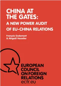 China at the Gates: a New Power Audit of Eu-China Relations
