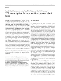 TCP Transcription Factors: Architectures of Plant Form