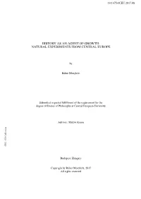 Thesis Consists of Two Single-Authored and One Co-Authored Chapters That Are Independent Yet Related