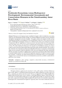 Freshwater Ecosystems Versus Hydropower Development: Environmental Assessments and Conservation Measures in the Transboundary Amur River Basin