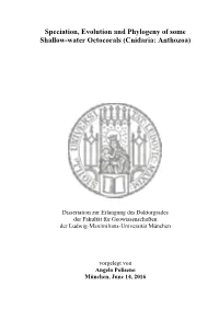 Speciation, Evolution and Phylogeny of Some Shallow-Water Octocorals (Cnidaria: Anthozoa)