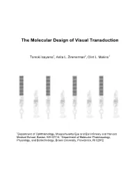 The Molecular Design of Visual Transduction