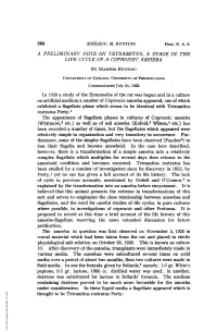 A PRELIMINARY NOTE on TETRAMITUS, a STAGE in the LIFE CYCLE of a COPROZOIC AMOEBA by MARTHA BUNTING