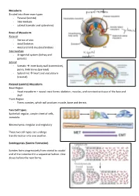 Mesoderm Divided Into Three Main Types - Paraxial (Somite) - Intermediate - Lateral (Somatic and Splanchnic)