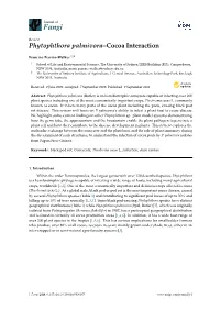 Phytophthora Palmivora–Cocoa Interaction