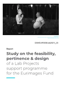 Study on the Feasibility, Pertinence & Design of a Lab Projects Support