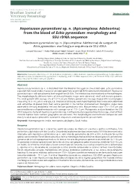 (Apicomplexa: Adeleorina) from the Blood of Echis Pyramidum: Morphology and SSU Rdna Sequence Hepatozoon Pyramidumi Sp