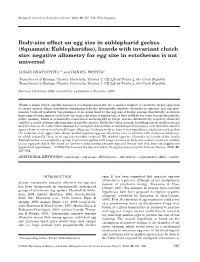 Body-Size Effect on Egg Size in Eublepharid Geckos (Squamata