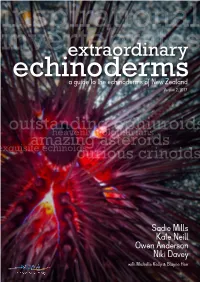 Extraordinary Echinoderms PDF Guide
