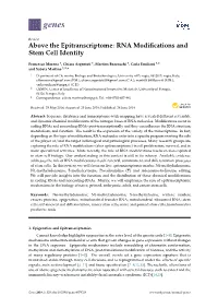 RNA Modifications and Stem Cell Identity