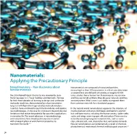 Nanomaterials: Applying the Precautionary Principle