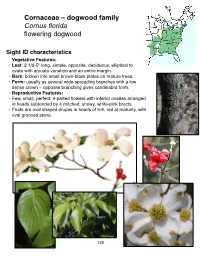 Cornaceae – Dogwood Family Cornus Florida Flowering Dogwood