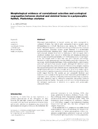 Morphological Evidence of Correlational Selection and Ecological Segregation Between Dextral and Sinistral Forms in a Polymorphic ﬂatﬁsh, Platichthys Stellatus