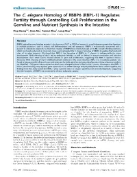 The C. Elegans Homolog of RBBP6 (RBPL-1) Regulates Fertility Through Controlling Cell Proliferation in the Germline and Nutrient Synthesis in the Intestine