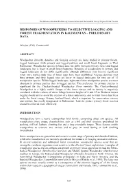 Responses of Woodpeckers to Selective Logging and Forest Fragmentation in Kalimantan – Preliminary Data