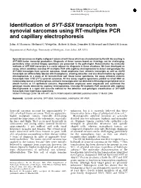 Identification of SYT-SSX Transcripts from Synovial Sarcomas Using RT-Multiplex PCR and Capillary Electrophoresis