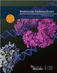 Restriction Endonucleases