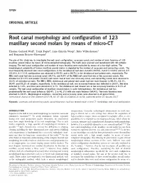 Root Canal Morphology and Configuration of 123 Maxillary