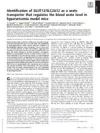 Identification of GLUT12/SLC2A12 As a Urate Transporter That