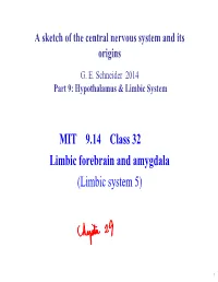 9.14 Lecture 32: Limbic Forebrain and Amygdala Notes