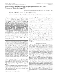 Interaction of Ribonucleoside Triphosphates with the Gene 4 Primase of Bacteriophage T7*