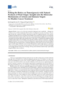 Putting the Brakes on Tumorigenesis with Natural Products of Plant Origin: Insights Into the Molecular Mechanisms of Actions