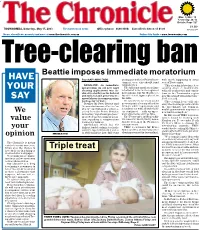 Tree-Clearing