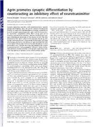 Agrin Promotes Synaptic Differentiation by Counteracting an Inhibitory Effect of Neurotransmitter