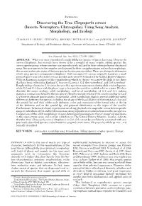 Discovering the True Chrysoperla Carnea (Insecta: Neuroptera: Chrysopidae) Using Song Analysis, Morphology, and Ecology