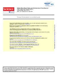 Fender12 BHB.Pdf
