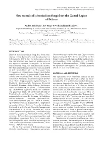 New Records of Lichenicolous Fungi from the Gomel Region of Belarus