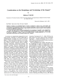 Considerations on the Morphology and Terminology of the Organs