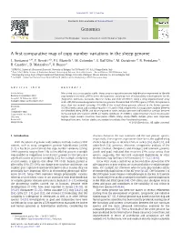 A First Comparative Map of Copy Number Variations in the Sheep