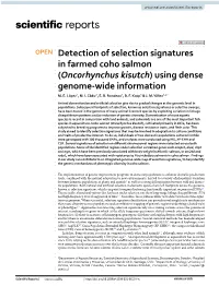Detection of Selection Signatures in Farmed Coho Salmon (Oncorhynchus Kisutch) Using Dense Genome‑Wide Information M