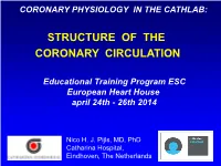 Structure of the Coronary Circulation