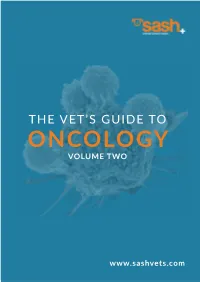 The Vet's Guide To