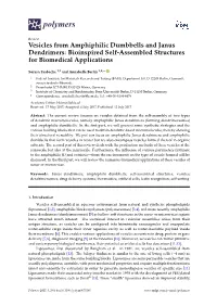 Vesicles from Amphiphilic Dumbbells and Janus Dendrimers: Bioinspired Self-Assembled Structures for Biomedical Applications