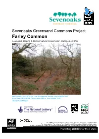 Farley Common Report