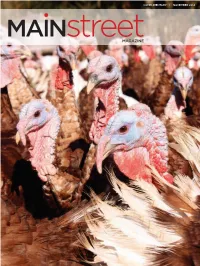 Mainstreetmag.Com a Moment and Reﬂ Ect: What Is It That You Are Thankful For? and Go Beyond the Shal- CONTACT Low and Superﬁ Cial Every-Day Things