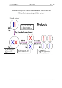 Revise Meiosis Process and the Relation Between Mendel Laws and Meiosis Before Proceeding with This Lecture