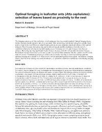 Optimal Foraging in Leafcutter Ants (Atta Cephalotes): Selection of Leaves Based on Proximity to the Nest