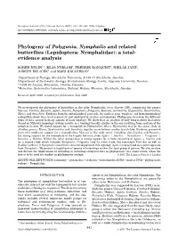 Phylogeny of Polygonia, Nymphalis and Related Butterflies (Lepidoptera