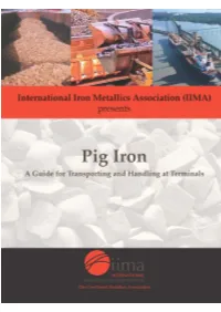 Pig Iron Sub-Committee, Chaired by Rodrigo Valladares, CEO of Viena Siderúrgica S/A, for Preparing and Editing the Information Presented in This Guide